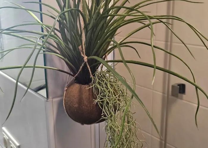 Traismauer 3 * Wagram ob der Traisen